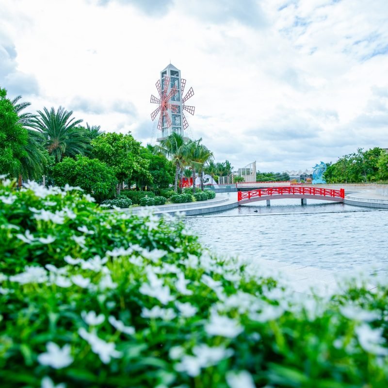 coi-xay-gio-doc-dao-tai-the-maris-vung-tau